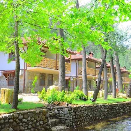 Eco Family Park Beskonak