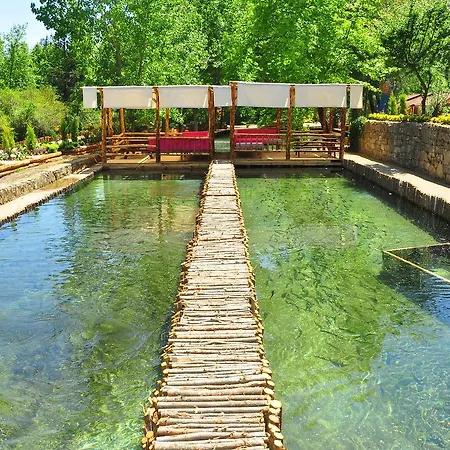 Eco Family Park Hotel *