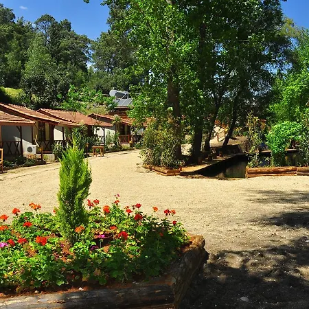 Eco Family Park Hotel Beskonak